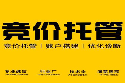 关键词竞价排名策略案例分析